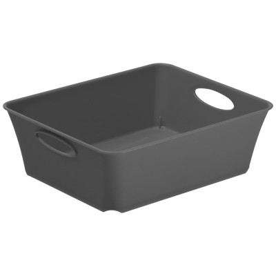 Rotho Aufbewahrungsbox Living Box C5 / 1 l Anthrazit