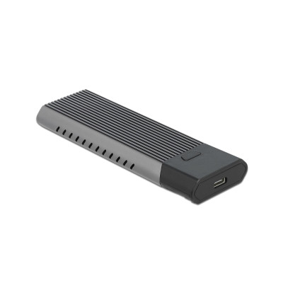 Delock Externes Gehäuse M.2 SATA&NVME zu USB.3.2 M.2