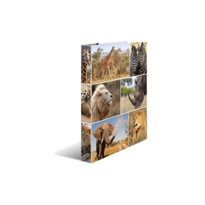 HERMA Ordner Afrika 2D 260 mm, Mehrfarbig