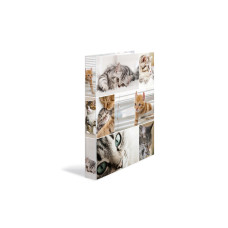 HERMA Ordner Katzen 2D 260 mm, Mehrfarbig