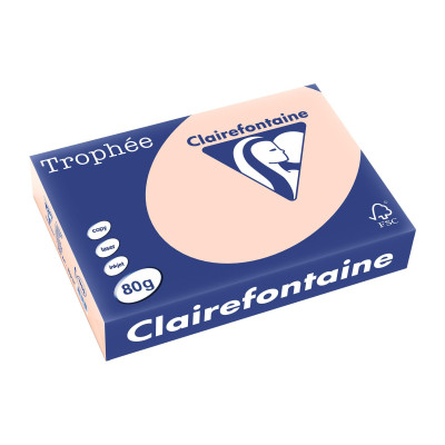Fischer Papier Kopierpapier Trophée A4, 80 g/m², Lachs, 500 Blatt Fischer Papier Kopierpapier Trophée A4, 80 g/m², Lachs, 500 Blatt