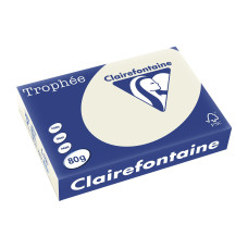Fischer Papier Kopierpapier Trophée A4, 80 g/m², Hellgrau, 500 Blatt