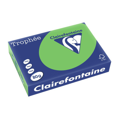 Fischer Papier Kopierpapier Trophée A4, 80 g/m², Limonengrün, 500 Blatt Fischer Papier Kopierpapier Trophée A4, 80 g/m², Limonengrün, 500 Blatt