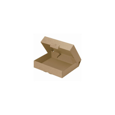 Brieger Versandkarton Klappschachtel 22 x 15.5 x 4.5 cm
