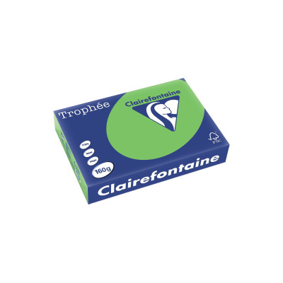 Clairefontaine Kopierpapier Trophée Colored Copy FSC A4, Grün, 160 g/m²