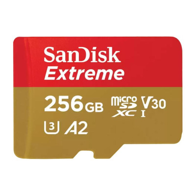 SanDisk microSDXC-Karte Extreme 256 GB