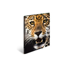 HERMA Gummibandmappe A3 Leopard, Polypropylen, mit Innendruck
