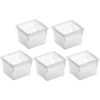 Rotho Ordnungssystem Basic, 5 Stück, 8 x 8 cm Transparent