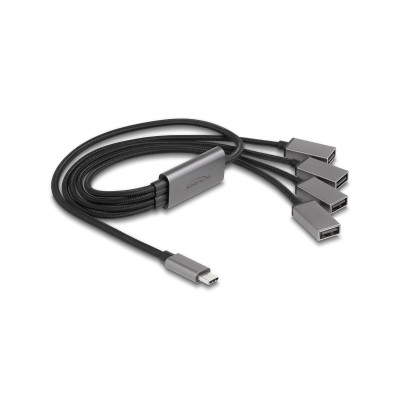 Delock USB-Hub USB 2.0 - 4x USB-A, USB Type-C, 60 cm Delock USB-Hub USB 2.0 - 4x USB-A, USB Type-C, 60 cm