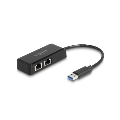Delock Netzwerk-Adapter USB Typ-A / RJ-45 Anschlüsse x 2