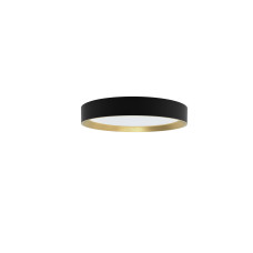 Philips Deckenleuchte Hanno SceneSwitch 2700K, 2700 Lm, Schwarz-Gold Philips Deckenleuchte Hanno SceneSwitch 2700K, 2700 Lm, Schwarz-Gold