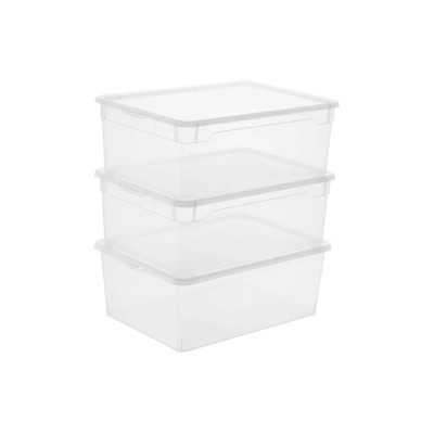 Rotho Aufbewahrungsbox Men Shoe Transparent, 3 tlg.