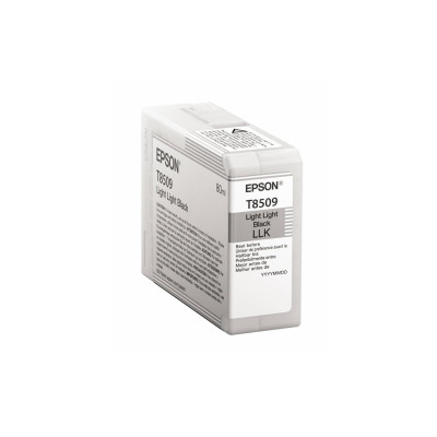 Epson Tinte C13T850900