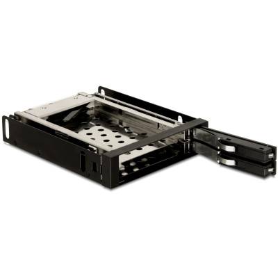 Delock Wechselrahmen 3,5 Mobile Rack für 2x 2.5