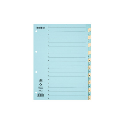 Biella Register A4 1 - 20 Karton