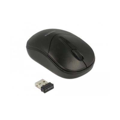 Delock Mobile Maus 12494 USB kabellos