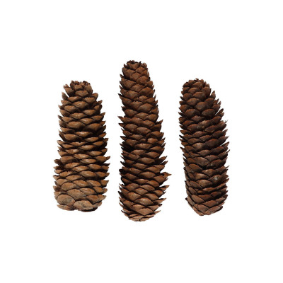 Creativ Company Weihnachtsdeko 280 g Tannenzapfen