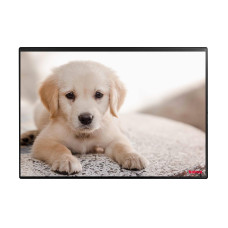 Kolma Schreibunterlage Undercover Poster Hund, 50 x 34 cm Kolma Schreibunterlage Undercover Poster Hund, 50 x 34 cm