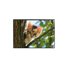 Kolma Schreibunterlage Undercover Poster Katze, 50 x 34 cm Kolma Schreibunterlage Undercover Poster Katze, 50 x 34 cm