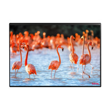 Kolma Schreibunterlage Undercover Poster Flamingo, 50 x 34 cm