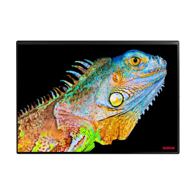 Kolma Schreibunterlage Undercover Poster Exotic 50 x 34 cm