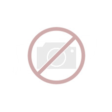 TONREC SWISS Toner-Modul komp. zu MLT-D309L black